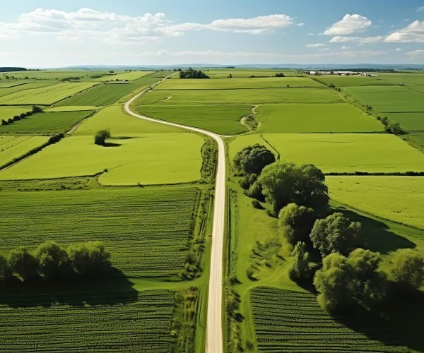 Freehold Land