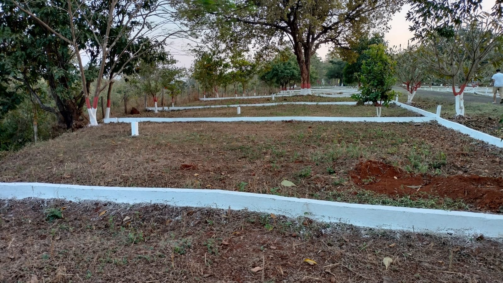 Harshal Shrishti
