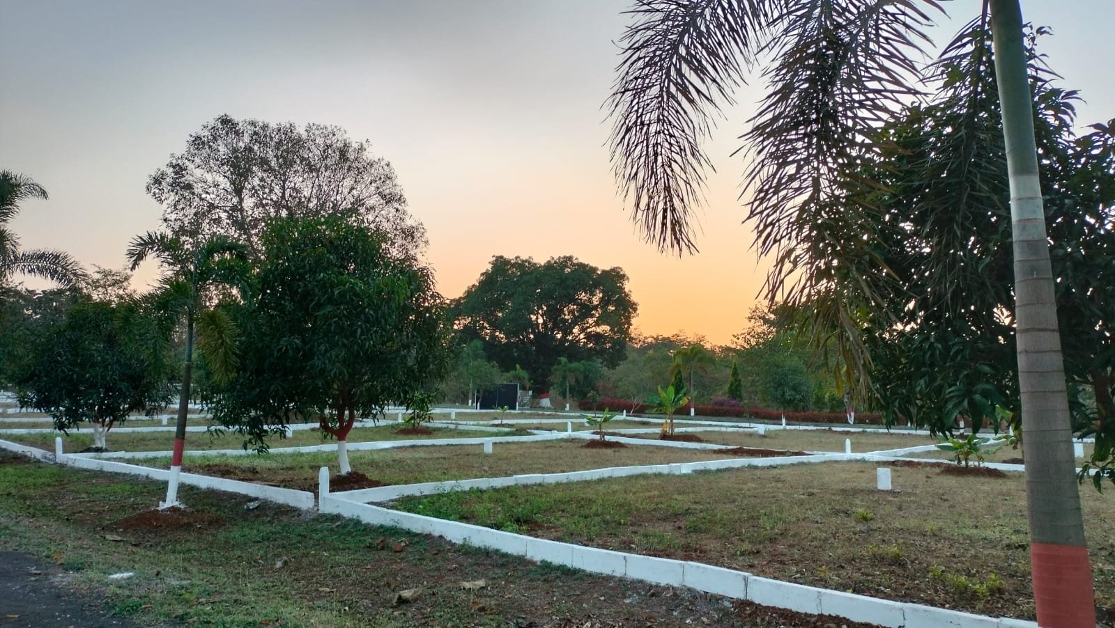 WhatsApp Image 2024-08-03 at 2.39.58 PM (2)